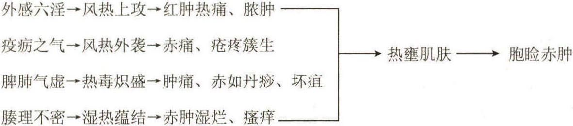 第三節(jié) 內(nèi)、外障辨證